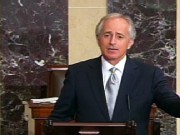 GOP Sen. Calls Doc Fix a 'Ponzi Scheme'
