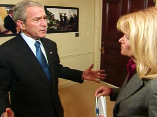bush and raddatz