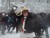 Video of a snowball fight in Washington, D.C.