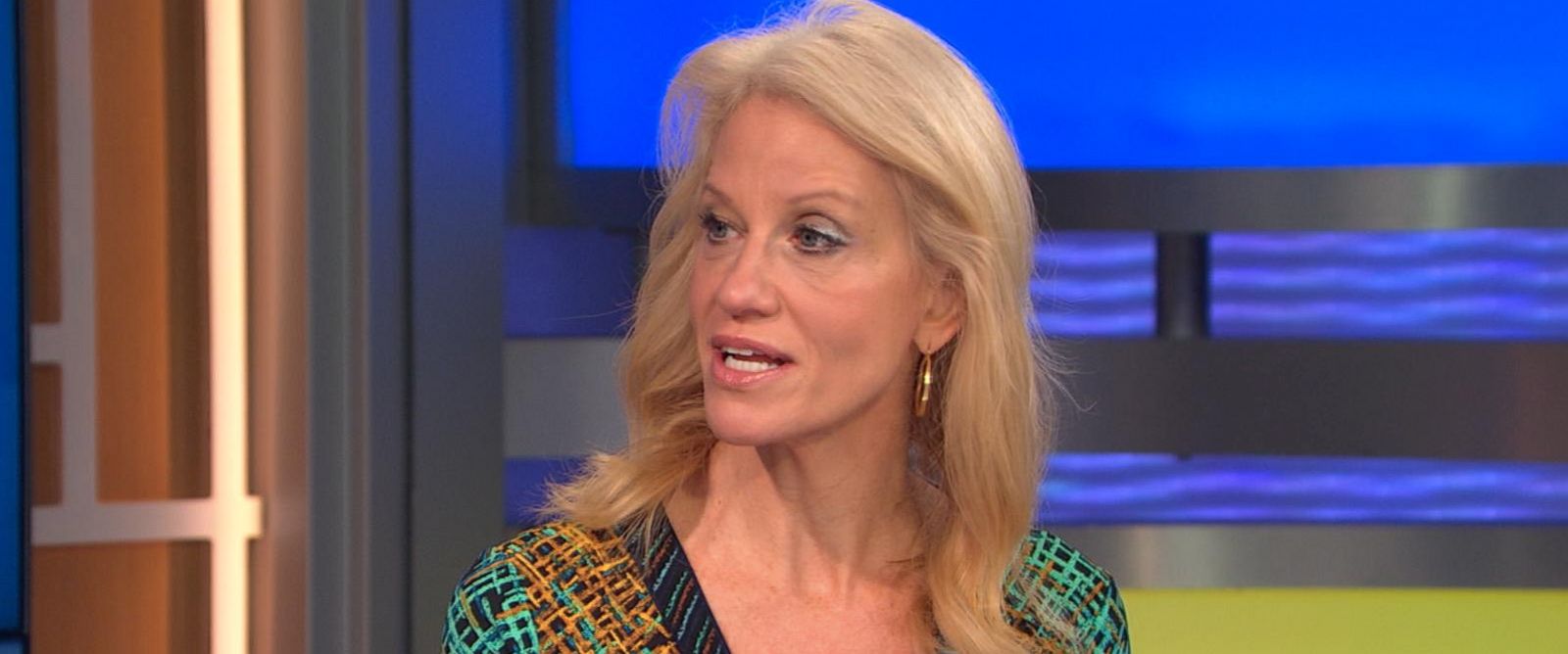 Ann Conway Net Worth