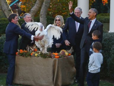 President Obama Pardons Turkeys Tater and Tot