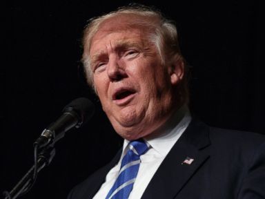 GOP Officials Exploring Options if Trump Drops Out