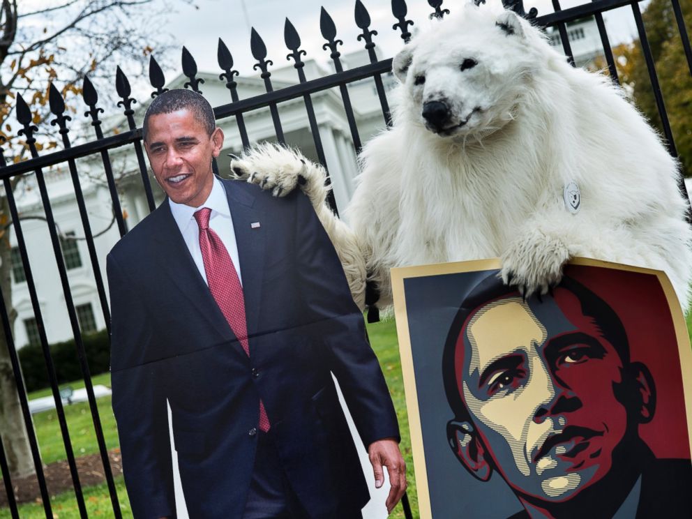 PHOTO: A protester dressed as a polar bear stands outside the White House grounds with posters on Pennsylvania Avenue Nov. 22, 2013 in Washington, DC.