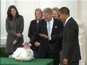 Obama Jokes at Turkey Pardon