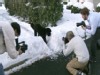 Video Sample