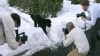 VIDEO: Bo Obama couldn't get enough of the big blizzard on the White House grounds.
