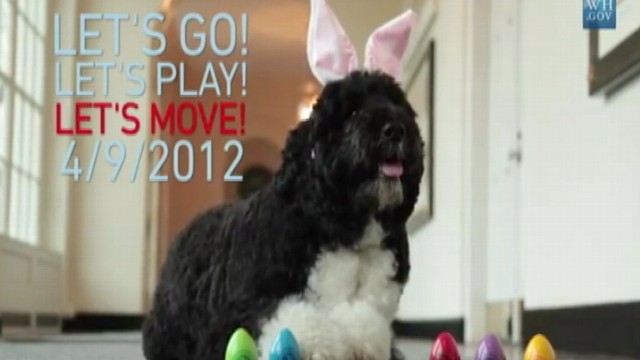VIDEO: White House Announces Easter Egg Roll Lottery