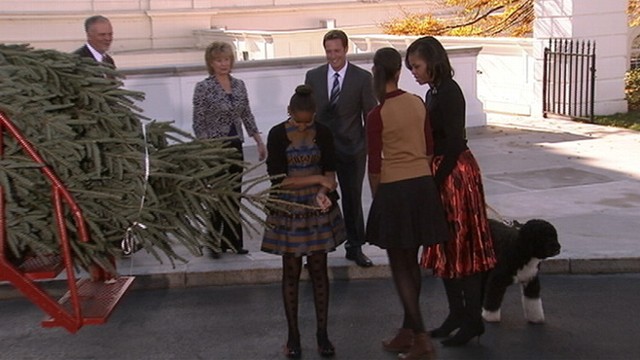 VIDEO: Michelle, Sasha and Malia Obama welcome the 19-foot Fraser fir brought in on a horse-drawn wagon.