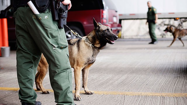 PHOTO: U.S. Customs and Border Patrol agents and K-9 security dogs keep watch at a checkpoint station, Feb. 22, 2013, in Falfurrias, Texas.
