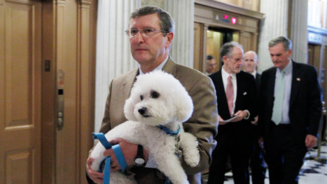 PHOTO: Kent Conrad and dog Dakota