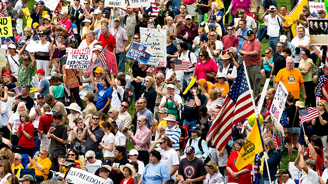 PHOTO: Tea party activists attend a rally on the grounds of the U.S. Capitol in Washington, June 19, 2013.