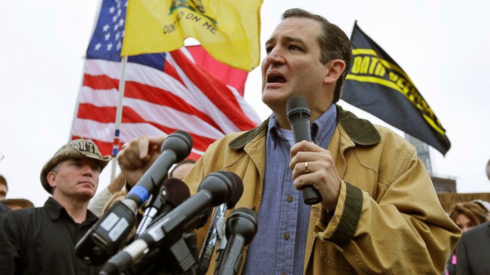 PHOTO: Tea Party Sen. Ted Cruz, R-Texas, speaks at a rally at the World War II Memorial in Washington on Oct. 13, 2013.