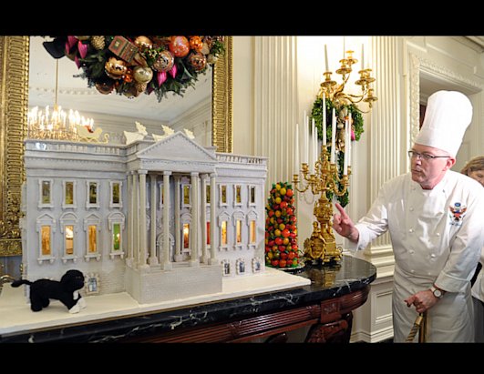 Christmas Arrives at the White House
