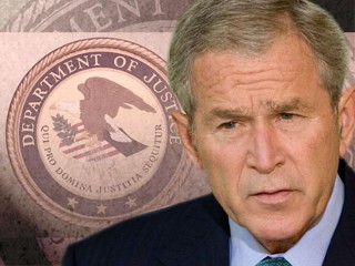 Bush 
