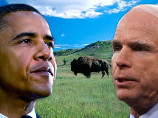 Pic image graphic of Sen. Barack Obama and John McCain over a scenic backdrop of North Dakota, with buffalo roaming in the Badlands.