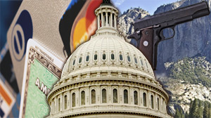 congress