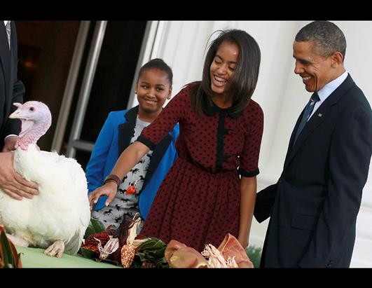 President Obama Pardons Turkey