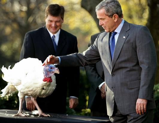 President Obama Pardons Turkey