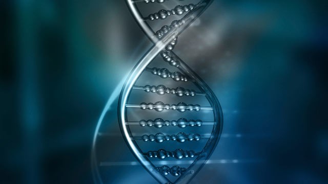 The Supreme Court will revisit the crossroad of privacy and evolving science later this month when it considers whether officials can take the DNA without a warrant of someone who has been arrested but not convicted of a crime. PHOTO: