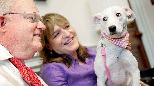 PHOTO: Rep. Jim Sensenbrenner and his wife Cheryl sit with "Tinker" a female Dalmatian mix in his office in Washington, DC, May 25, 2010.