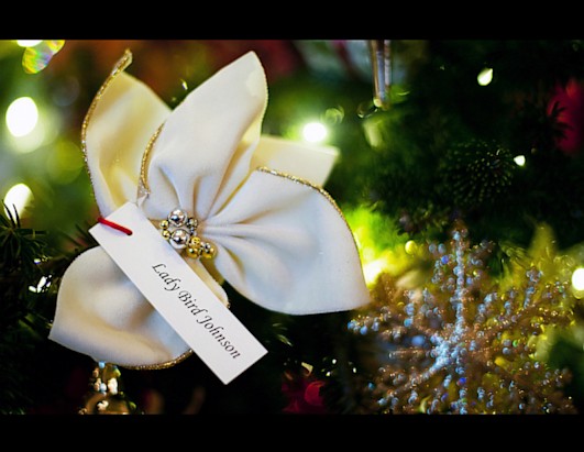 Christmas Arrives at the White House