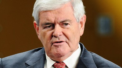 PHOTO: Former Speaker of the House and Republican presidential candidate Newt Gingrich speaks during a forum on manufacturing, Nov. 1, 2011 at Vermeer Manufacturing in Pella, Iowa.