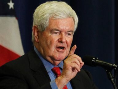Newt Gingrich Says Voters Should Monitor Polling Sites