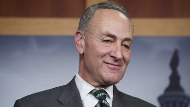 PHOTO: Senator Charles Schumer, D-N.Y., attends a press conference on an agreement for principles on comprehensive immigration reform framework at the U.S. Capitol in Washington on Jan. 28, 2013.