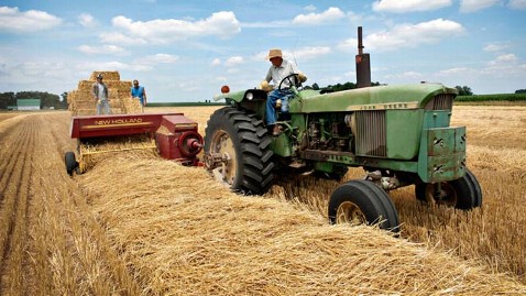 gty straw field ll 130620 wblog Farm Bill Vote Fails, Stunned GOP Blames Dems