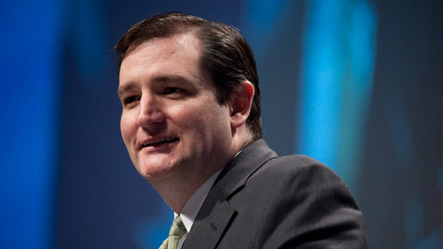 PHOTO: Republican candidate for U.S. Senate from Texas Ted Cruz speaks to the CPAC meeting, held by the American Conservative Union in Washington on Thursday, Feb. 10, 2010.