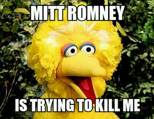 big bird memes go viral photos abc news bird bird 531x411