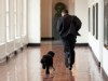 Bo and President Obama