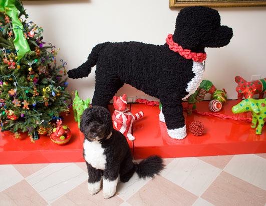 Presidential Pets