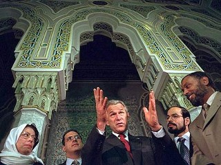 bush