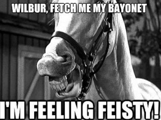 Photos: Horses and Bayonets Dominate Debate Memes