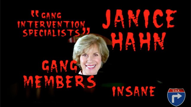 PHOTO:&nbsp;A controversial web ad in Southern California's special congressional election has been denounced by both Democrat Janice Hahn and Republican Craig Huey.