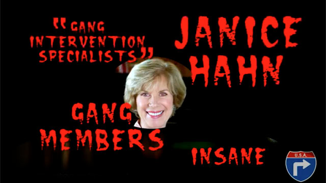 PHOTO: A controversial web ad in Southern Californias special congressional election has been denounced by both Democrat Janice Hahn and Republican Craig Huey.