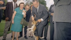 PHOTO: Lyndon Johnson is seen holding a beagle dog's ears up, in this undated photo, provided by the University of Texas Libraries.