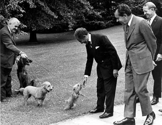 Presidential Pets 