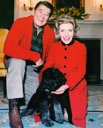 Presidential Pets 