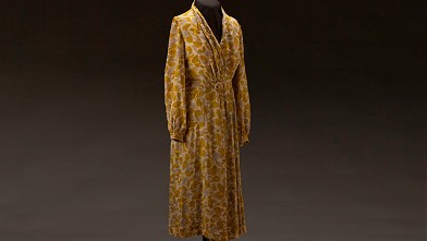 PHOTO: Rosa Parks dress