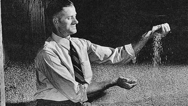 PHOTO: Roscoe Filburn, a farmer in Montgomery County, Ohio, planted 23 acres of wheat in the fall of 1940 and harvested 462 bushels in July 1941.