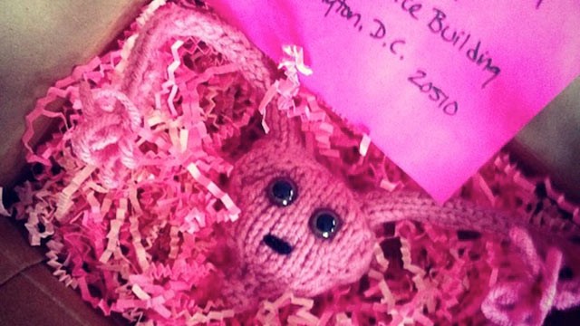 PHOTO: Massachusetts resident Ashley Weeks Cart, a blogger and mother of two daughters, knitted this pink uterus and sent it to Sen. Scott Brown, R-Mass., as part of the Government Free VJJ project.