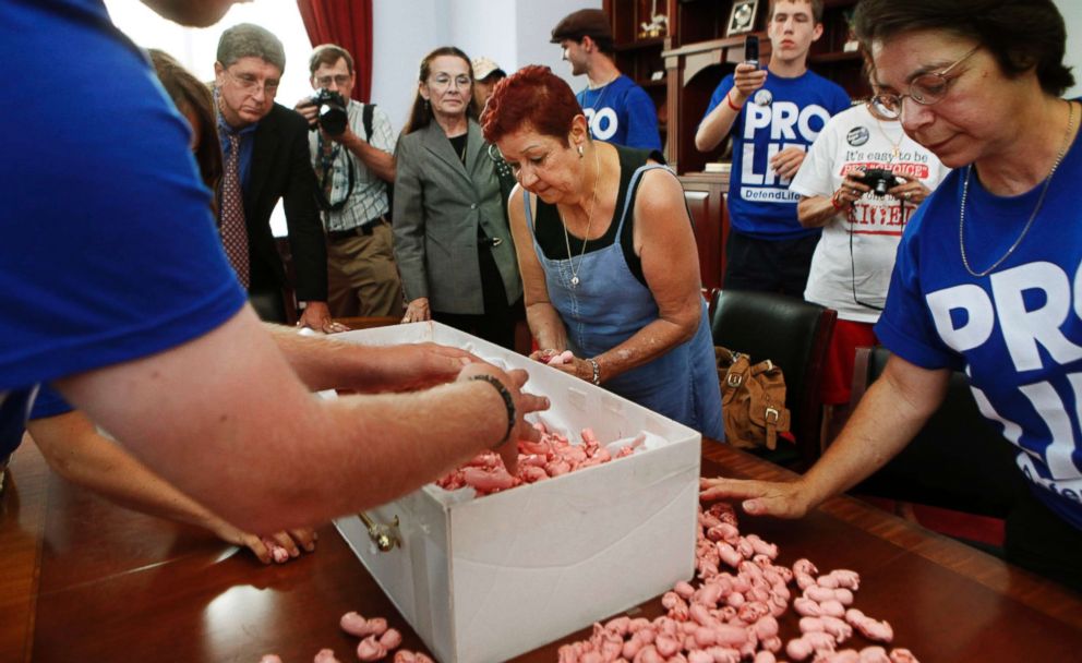 PHOTO: Norma McCorvey, center, helps to gather plastic figures in the shape of babies,during an anti-abortion protest inside House Speaker Nancy Pelosis office on Capitol Hill in Washington, July 28, 2009.
