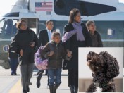 A rescue Portuguese Water dog is still at the top of list for 