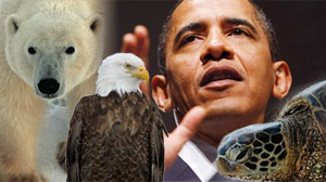obama