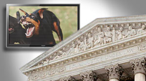 Photo: Dog Fighting Videos: Obscenity or Free Speech? Supreme Court to Hear Arguments Oct. 6