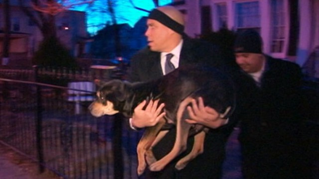 VIDEO: Newark Mayor Cory Bookre responded to TV reporters tweets about a dog left out in the cold.
