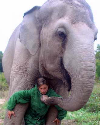 The Elephant Sanctuary