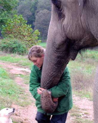 The Elephant Sanctuary